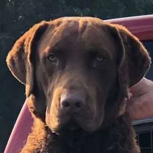 Meet your Posher, Hill